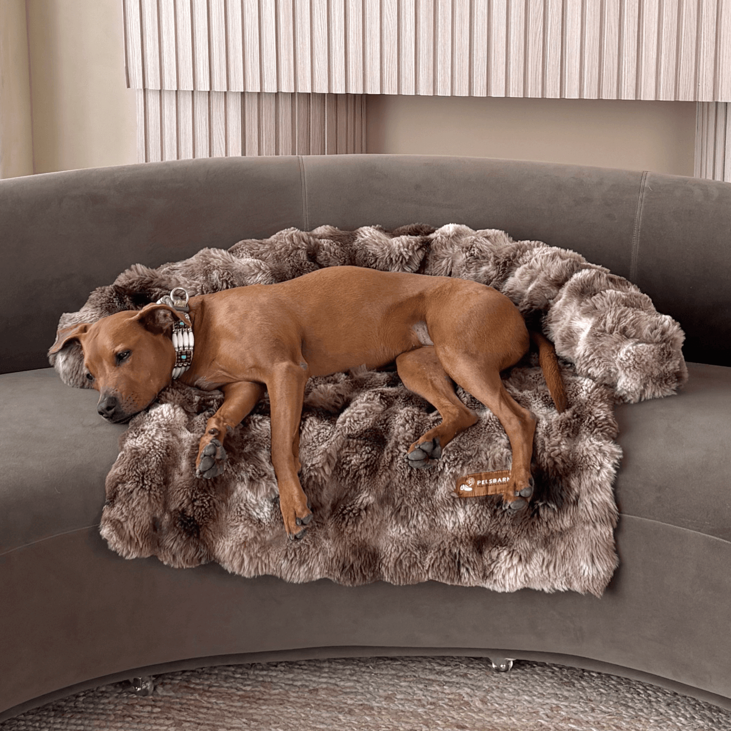 Pelsbarn Luxurious Sofa Bed ( 1+1 )