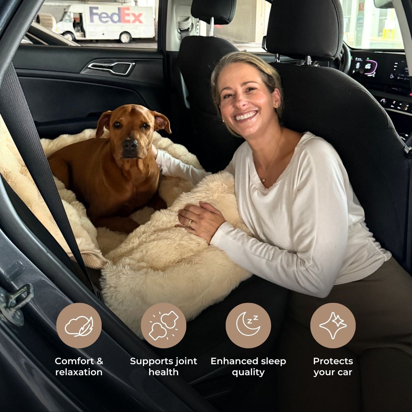 Luxurious Cozy Car Bed