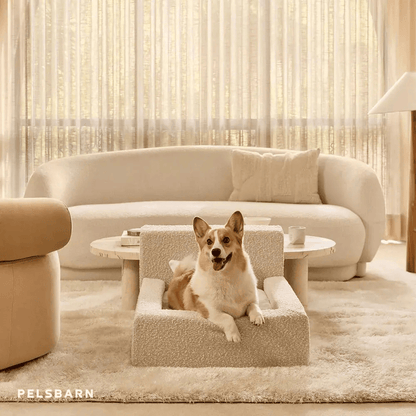 REAL orthopedic bed for dogs