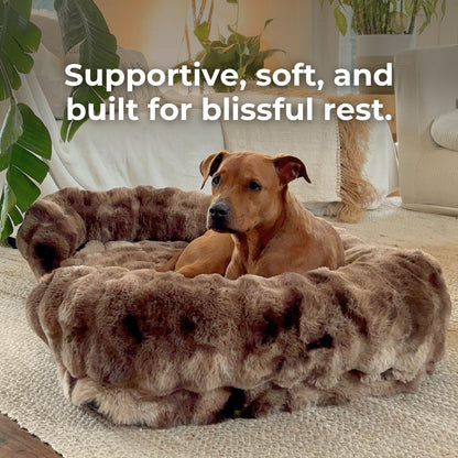 Luxurious Orthopedic Bed